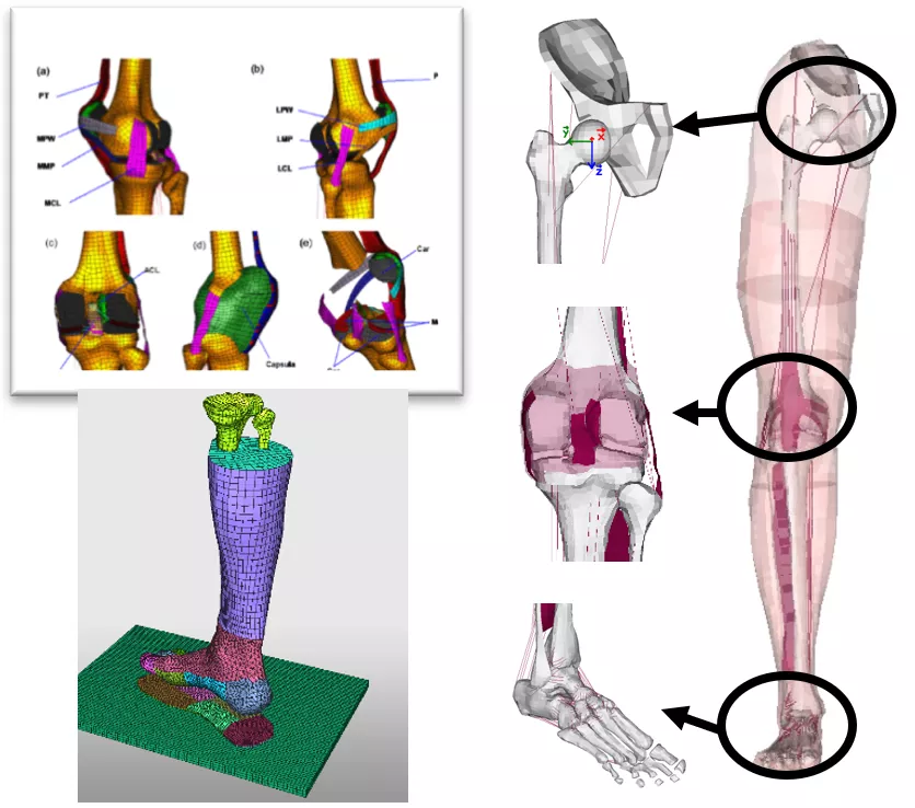 致敬马拉多纳，CAE仿真“最懂球员的球鞋”